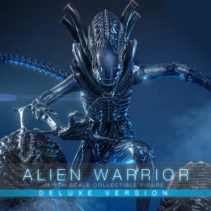 Hot Toys | Alien Warrior (PREVENTA)