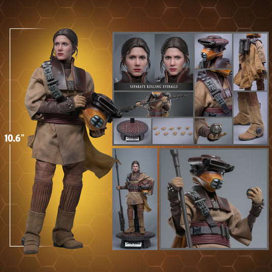 Hot Toys | Leia Organa (Boushh Disguise) | Preventa