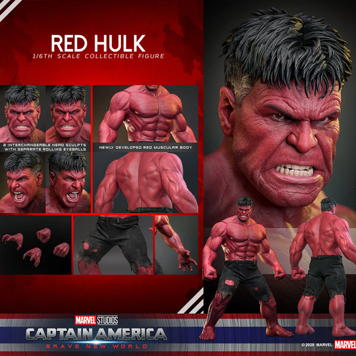 Hot Toys | Red Hulk
