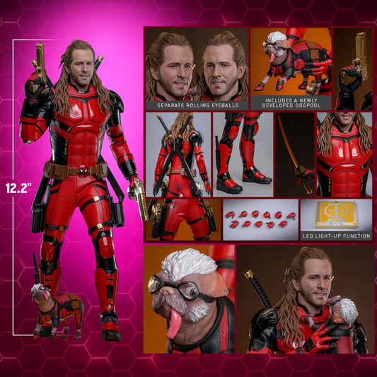 Hot Toys - Nicepool