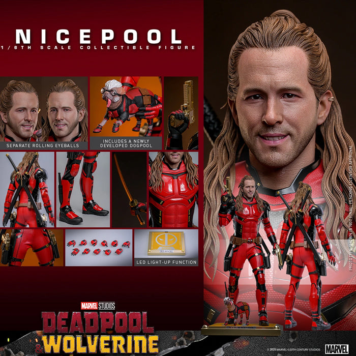 Hot Toys - Nicepool