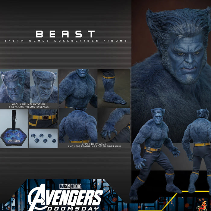 Hot Toys - Beast (Collector Edition) - Preventa