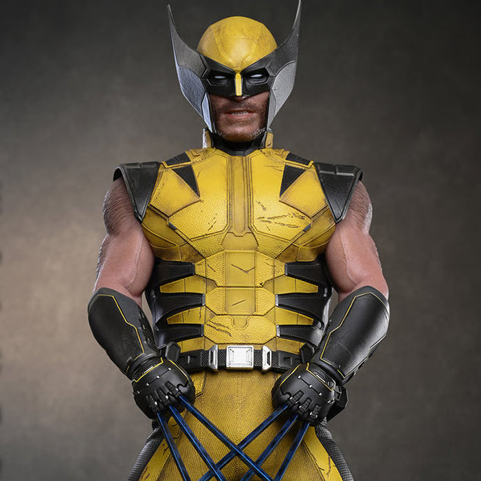 Hot Toys - Wolverine (PREVENTA)