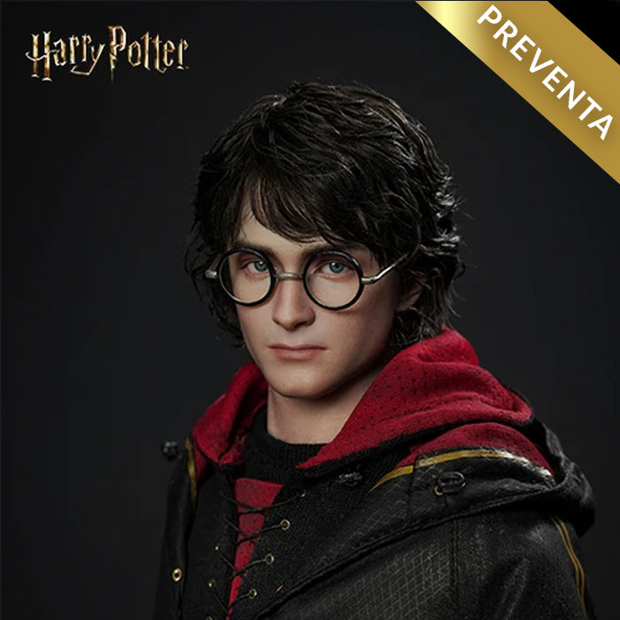 INART - Harry Potter (Preventa)