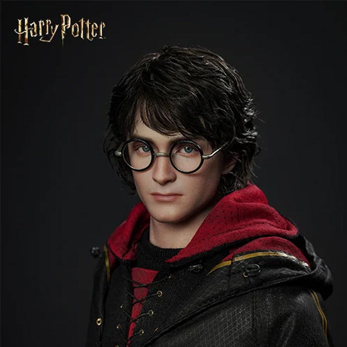 INART - Harry Potter (Preventa)