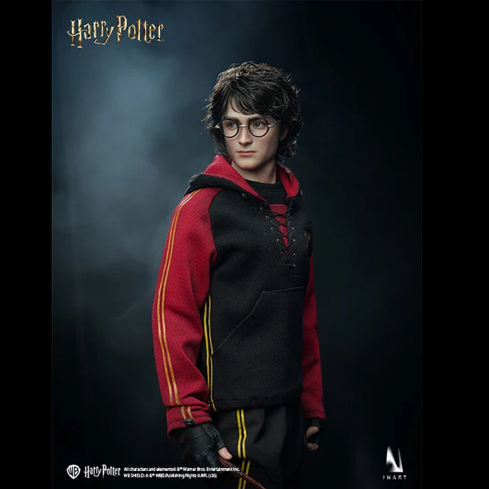 INART - Harry Potter (Preventa)