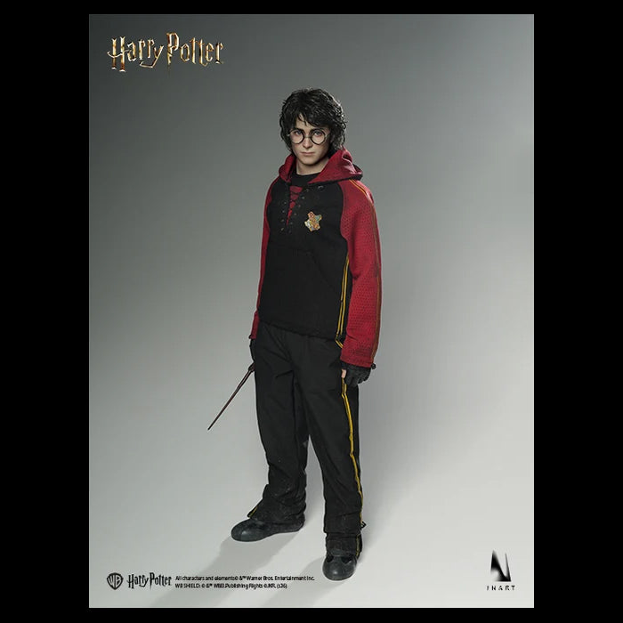 INART - Harry Potter (Preventa)