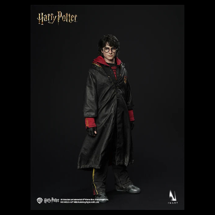 INART - Harry Potter (Preventa)