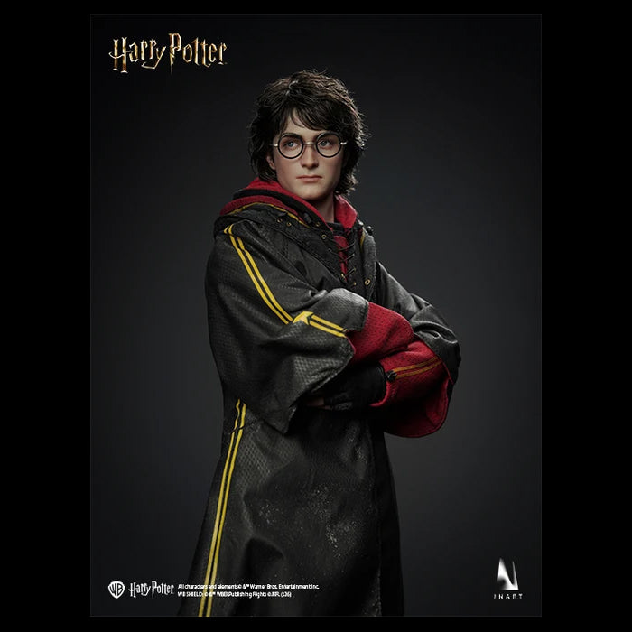 INART - Harry Potter (Preventa)