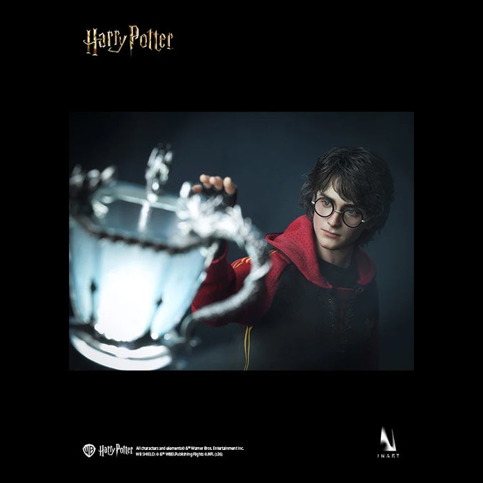 INART - Harry Potter (Preventa)