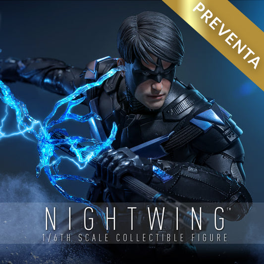 Hot Toys | Sideshow Exclusive | Nightwing