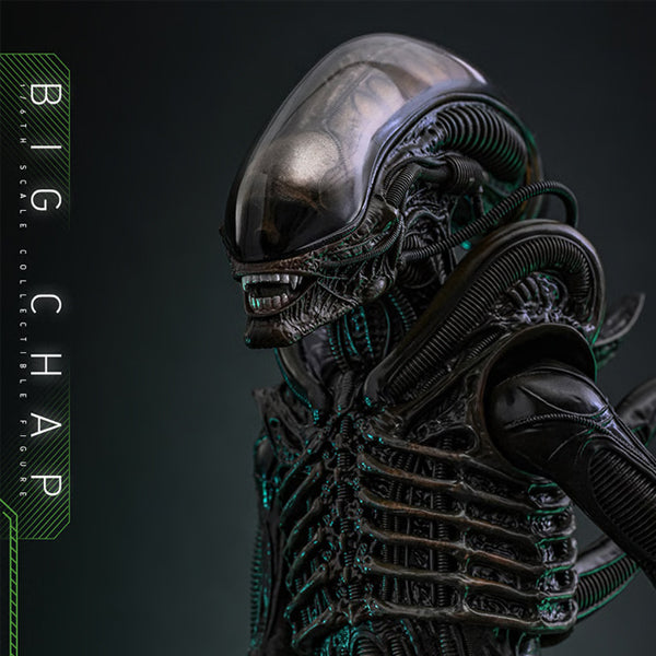 Hot Toys - Alien Big Chap (PREVENTA)