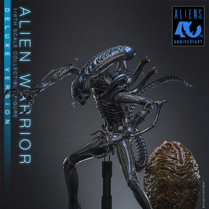 Hot Toys | Alien Warrior (PREVENTA)