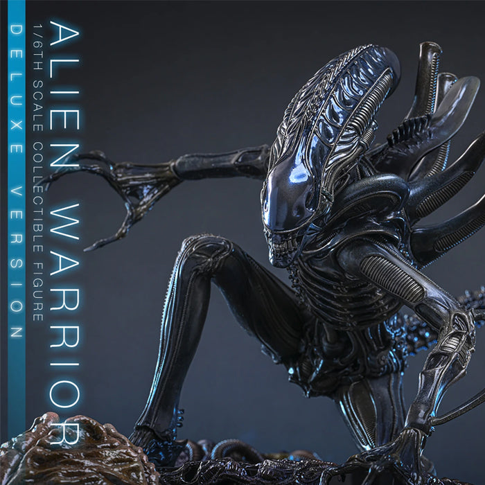 Hot Toys | Alien Warrior (PREVENTA)