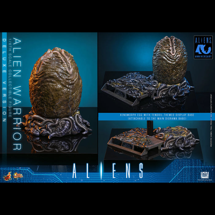 Hot Toys | Alien Warrior (PREVENTA)