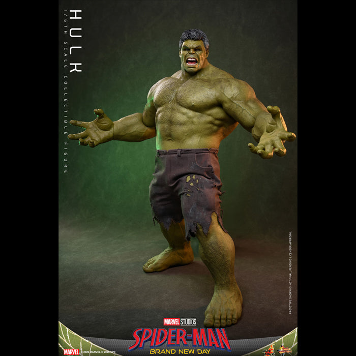 Hot Toys | Hulk (PREVENTA)