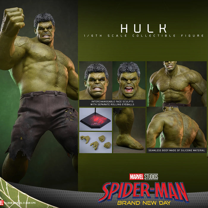 Hot Toys | Hulk (PREVENTA)