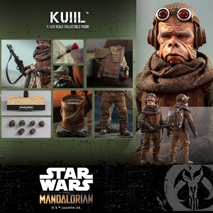 Hot Toys | Kuill