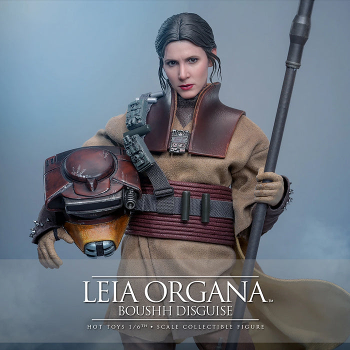 Hot Toys | Leia Organa (Boushh Disguise) | Preventa