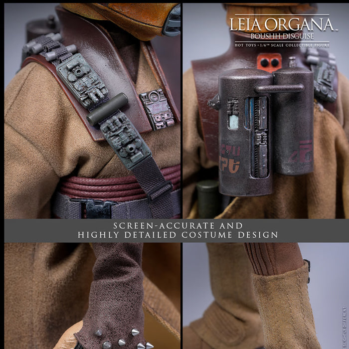 Hot Toys | Leia Organa (Boushh Disguise) | Preventa