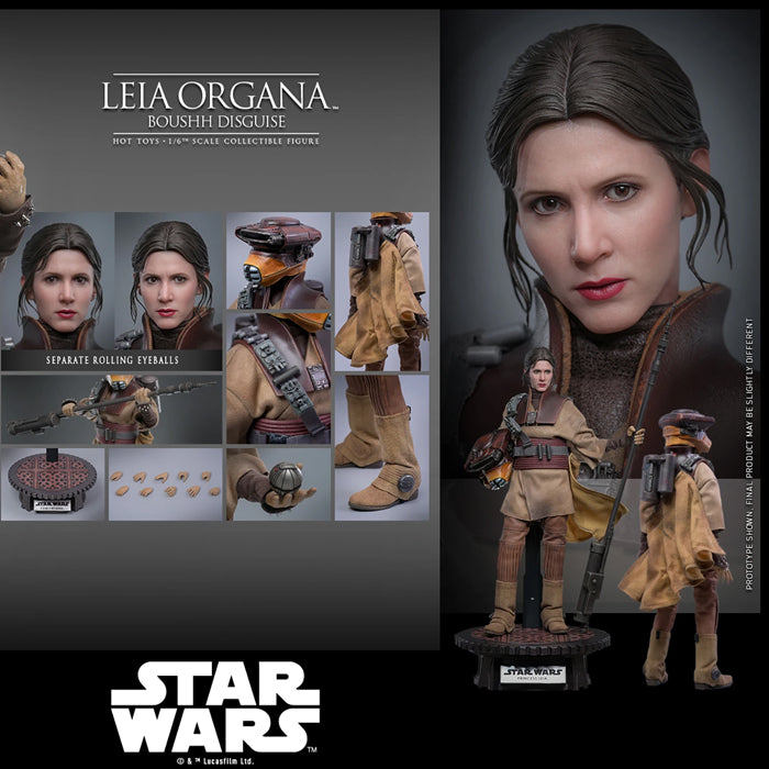 Hot Toys | Leia Organa (Boushh Disguise) | Preventa