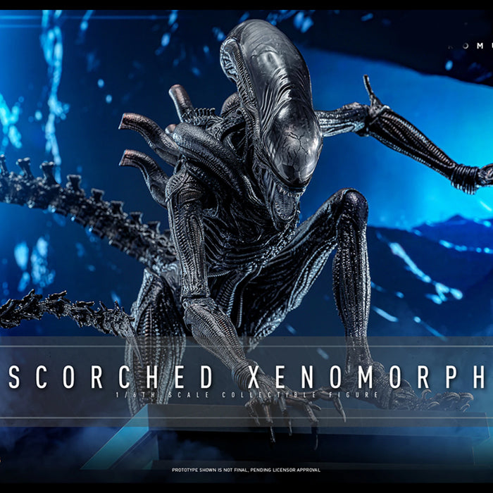 Hot Toys | Scorched Xenomorph