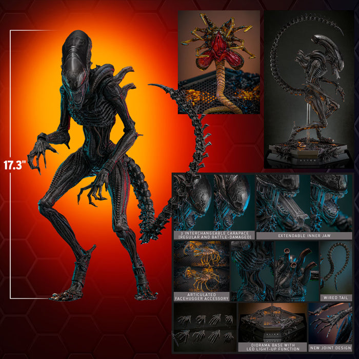 Hot Toys | Scorched Xenomorph