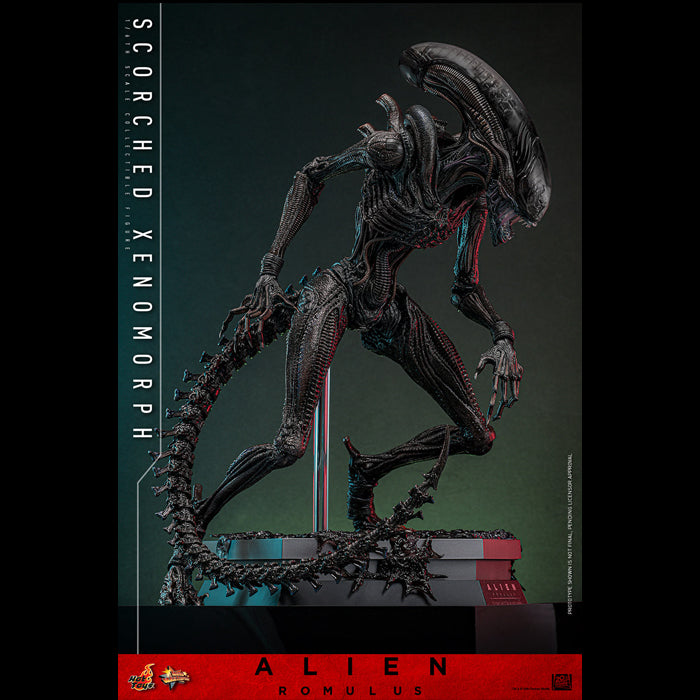 Hot Toys | Scorched Xenomorph