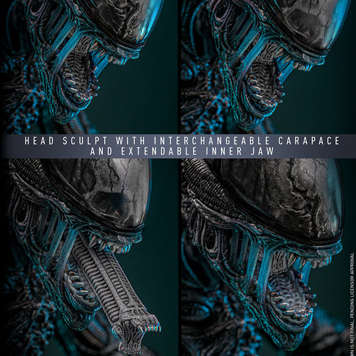 Hot Toys | Scorched Xenomorph