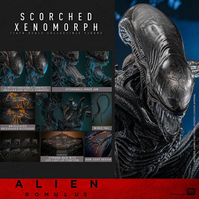 Hot Toys | Scorched Xenomorph