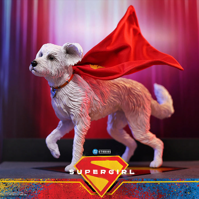 Hot Toys | Supergirl & Krypto (PREVENTA)