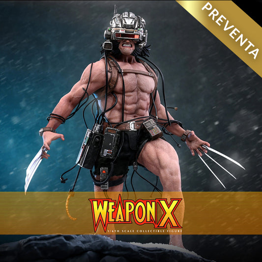 Hot Toys | Weapon—X (PREVENTA)