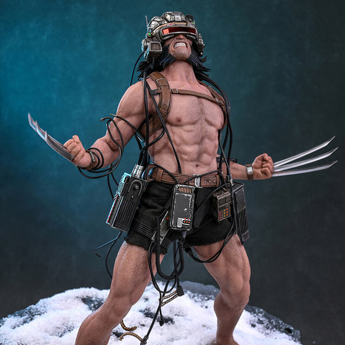 Hot Toys | Weapon—X (PREVENTA)