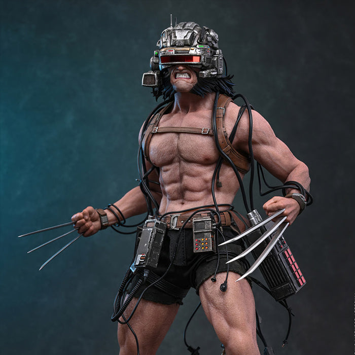 Hot Toys | Weapon—X (PREVENTA)