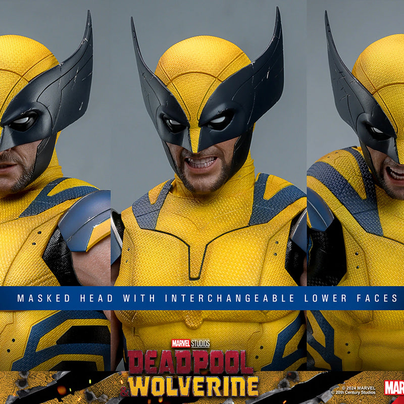 Hot Toys - Wolverine (Deluxe Version)