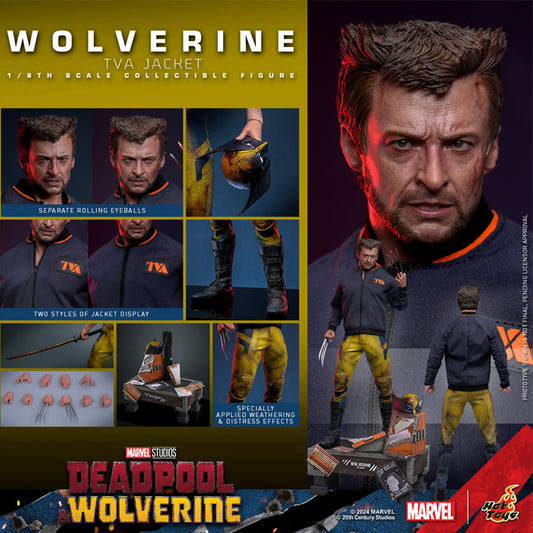 Hot Toys | Wolverine (TVA Jacket Version)