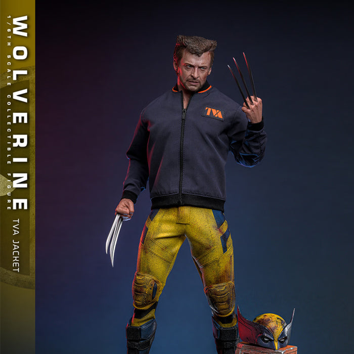 Hot Toys | Wolverine (TVA Jacket Version)