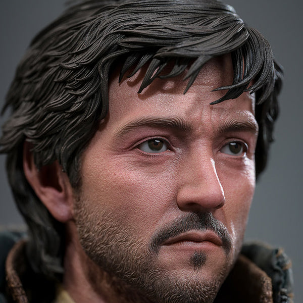 Hoy Toys - Cassian Andor