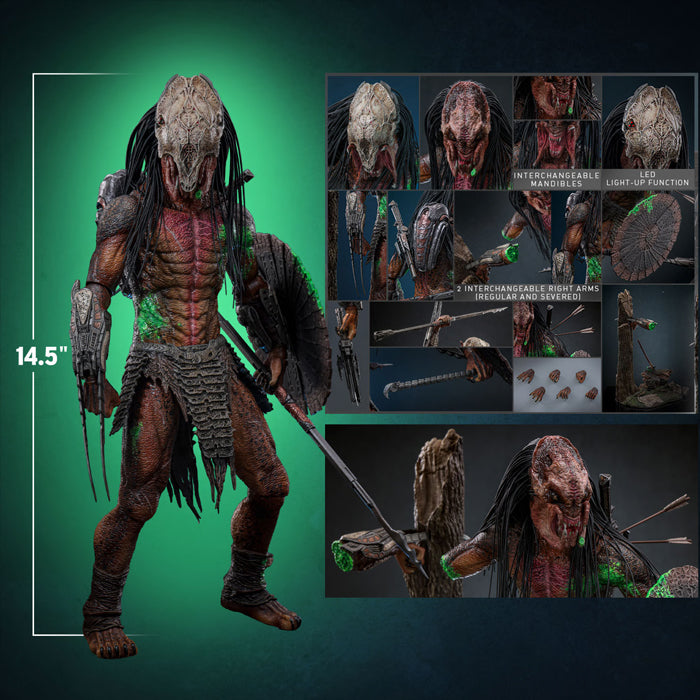 Hot Toys - Feral Predator (Battle Damaged) | PREVENTA